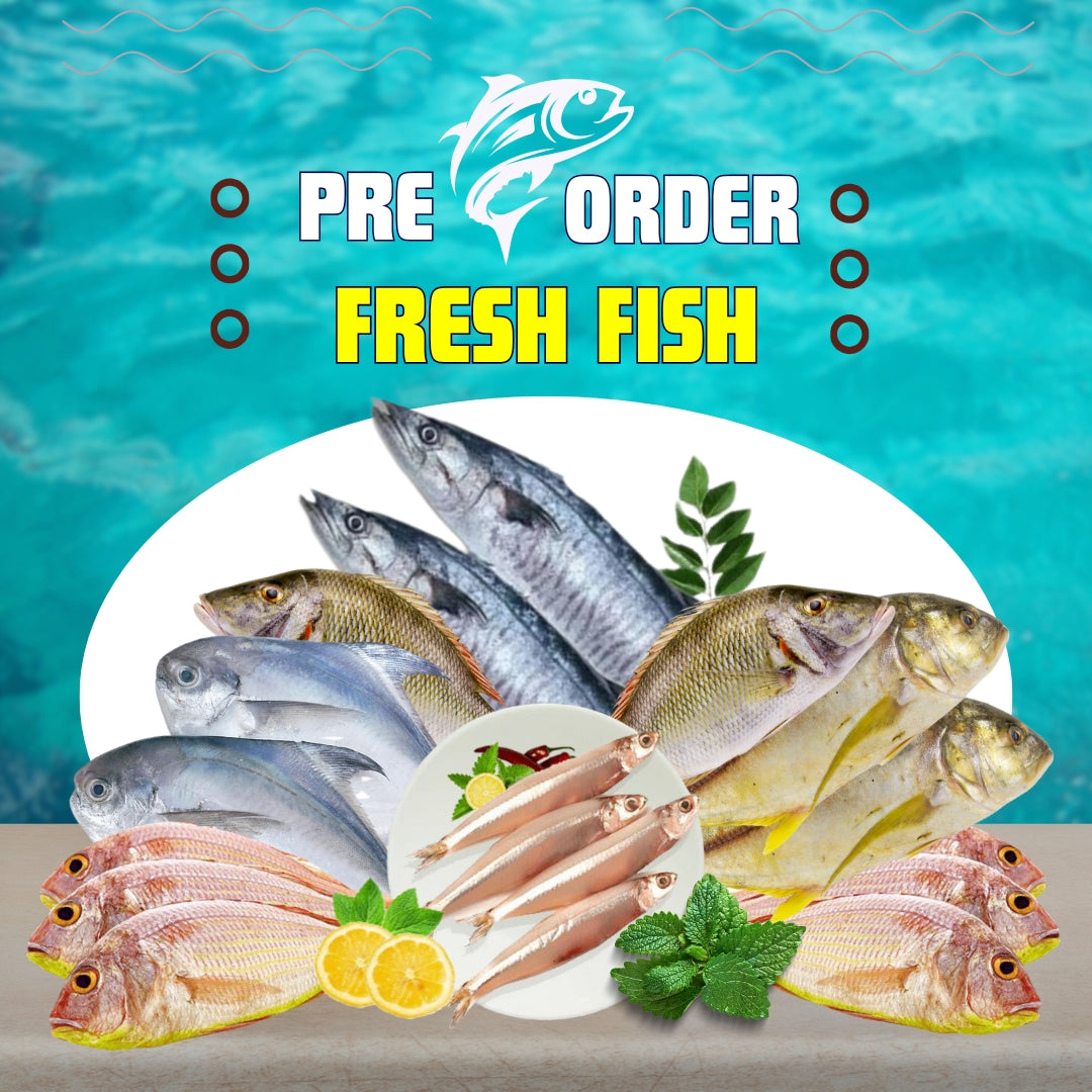 Fresh Fish Collection