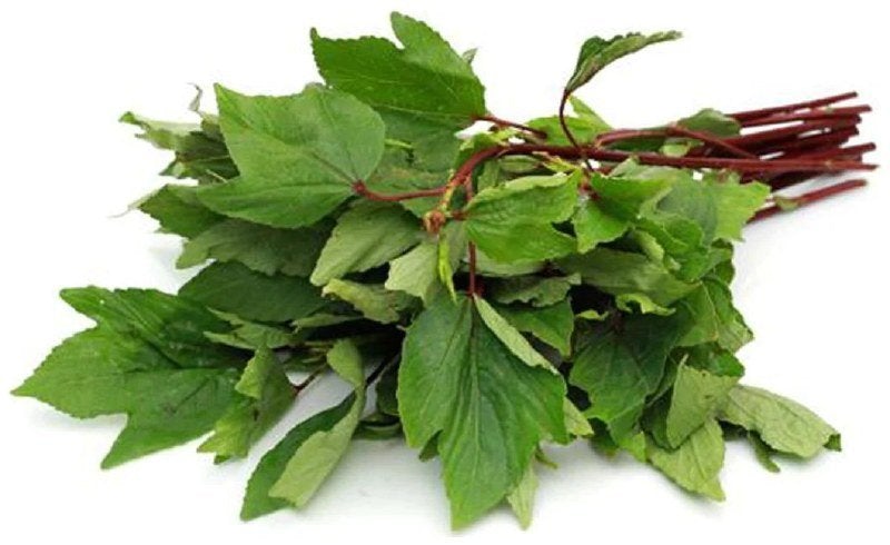 SORREL LEAVES(GONGURA) | Lakshmi Stores UK