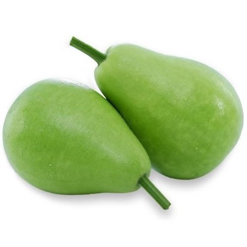 Buy BOTTLE GOURD ROUND SURRAIKAIROUND Online in UK